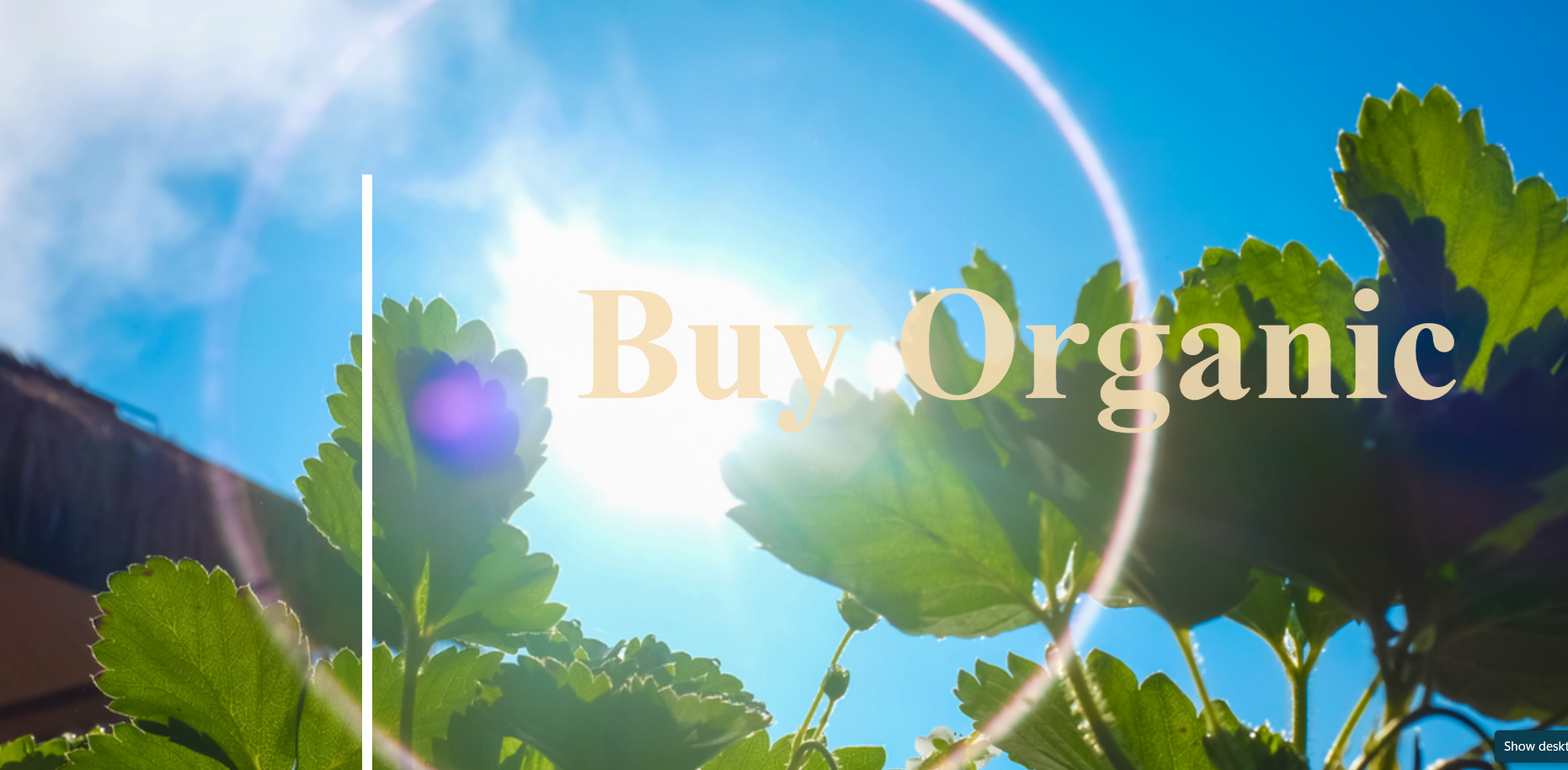 Organic Retail Website Template Şablon